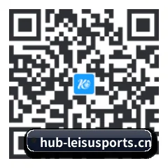 系统版 iOS 二维码